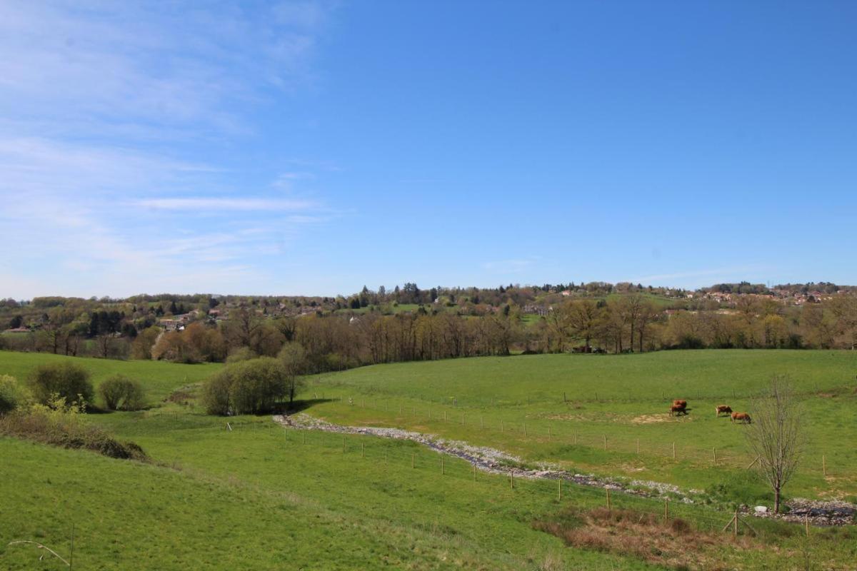 Chez Le Bayle Condat-sur-Vienne Exterior foto