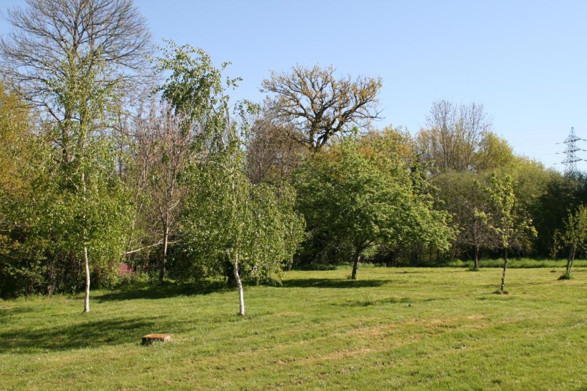 Chez Le Bayle Condat-sur-Vienne Exterior foto